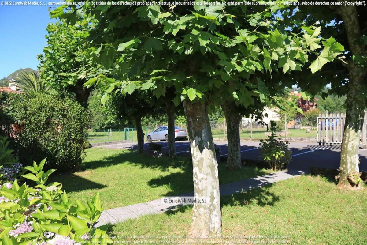 OnísEl Puentin Del Sella Con Wifi Y Parking Gratuitoアパートメント エクステリア 写真